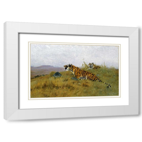 Tigers Stalking Their Prey White Modern Wood Framed Art Print with Double Matting by Kuhnert, Wilhelm