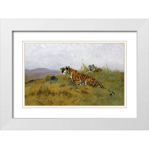 Tigers Stalking Their Prey White Modern Wood Framed Art Print with Double Matting by Kuhnert, Wilhelm