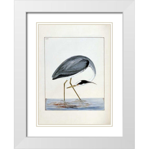 Heron White Modern Wood Framed Art Print with Double Matting by Lewin, William