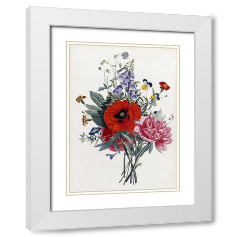 Collection Des Fleurs Et Des Fruits White Modern Wood Framed Art Print with Double Matting by Prevost, Jean-Louis