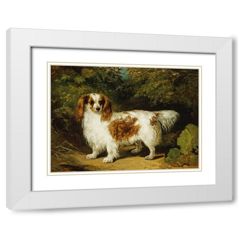 A Blenheim Cavalier King Charles Spaniel White Modern Wood Framed Art Print with Double Matting by Willis, H.