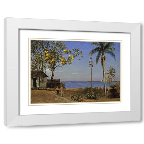 Tropical Scene White Modern Wood Framed Art Print with Double Matting by Bierstadt, Albert