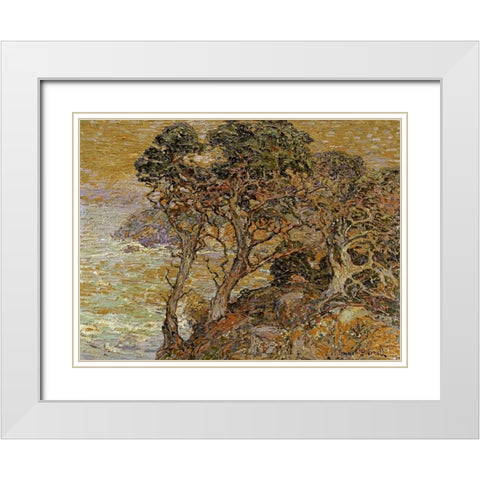 Point Lobos, Monterey Coast White Modern Wood Framed Art Print with Double Matting by Bischoff, Franz