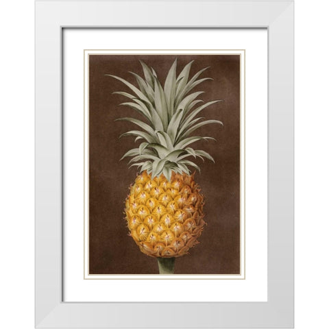 Pineapple White Modern Wood Framed Art Print with Double Matting by Brookshaw, George