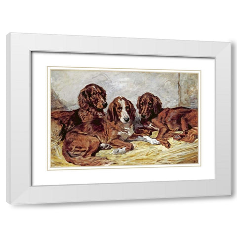 Shot and His Friends - Three Irish Red and White Setters White Modern Wood Framed Art Print with Double Matting by Emms, John