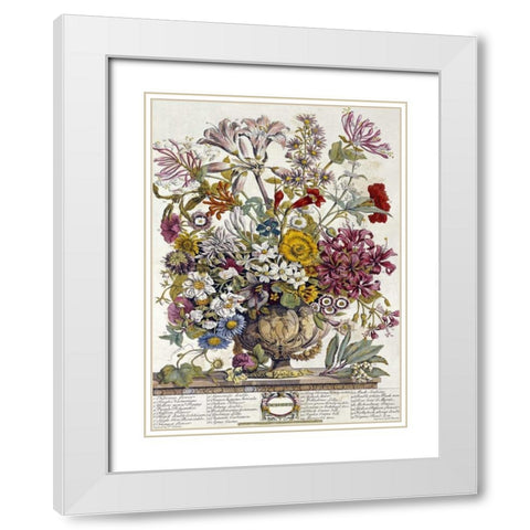 October - Twelve Months of Flowers White Modern Wood Framed Art Print with Double Matting by Furber, Robert