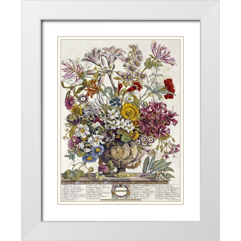 October - Twelve Months of Flowers White Modern Wood Framed Art Print with Double Matting by Furber, Robert