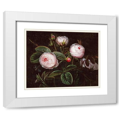 Pink Roses White Modern Wood Framed Art Print with Double Matting by Jensen, Johan Laurents