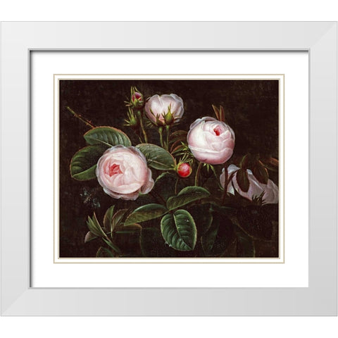 Pink Roses White Modern Wood Framed Art Print with Double Matting by Jensen, Johan Laurents