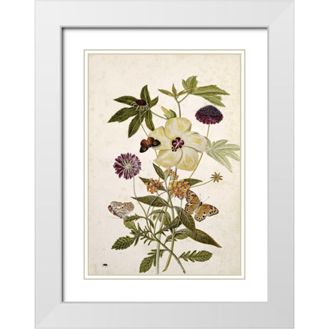 Milkweed, Poppy and Hibiscus White Modern Wood Framed Art Print with Double Matting by Robins, Thomas Jr.