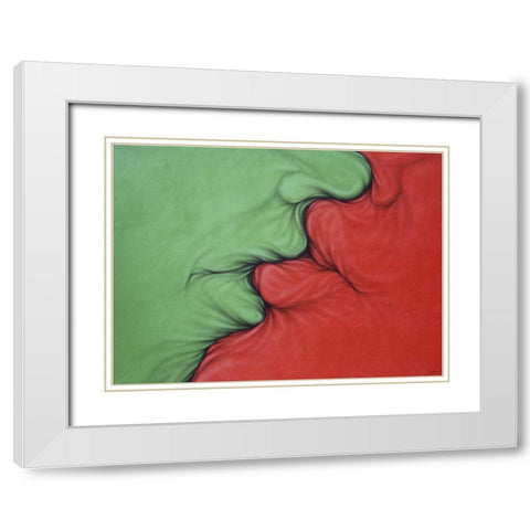 Complementarios White Modern Wood Framed Art Print with Double Matting by Bertani, Ernesto