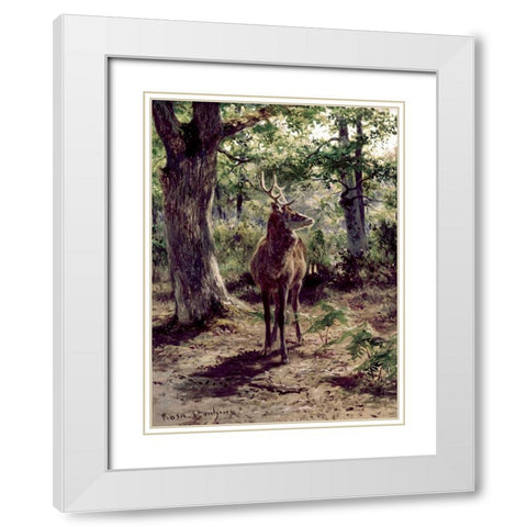 Stag On Alert, In Wooded Clearing White Modern Wood Framed Art Print with Double Matting by Bonheur, Rosa