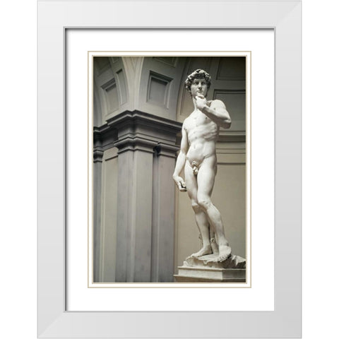 David White Modern Wood Framed Art Print with Double Matting by Michelangelo