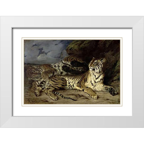 Young Tiger Playing with his Mother White Modern Wood Framed Art Print with Double Matting by Delacroix, Eugene