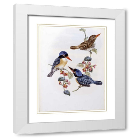 Black Faced Kingfisher White Modern Wood Framed Art Print with Double Matting by Glover, John