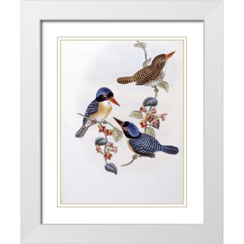 Black Faced Kingfisher White Modern Wood Framed Art Print with Double Matting by Glover, John