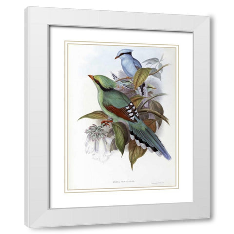 Hunting Cissa White Modern Wood Framed Art Print with Double Matting by Glover, John