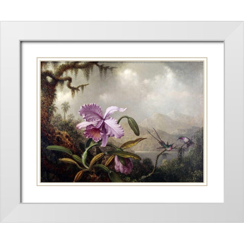 Hummingbirds and Orchids White Modern Wood Framed Art Print with Double Matting by Heade, Martin Johnson