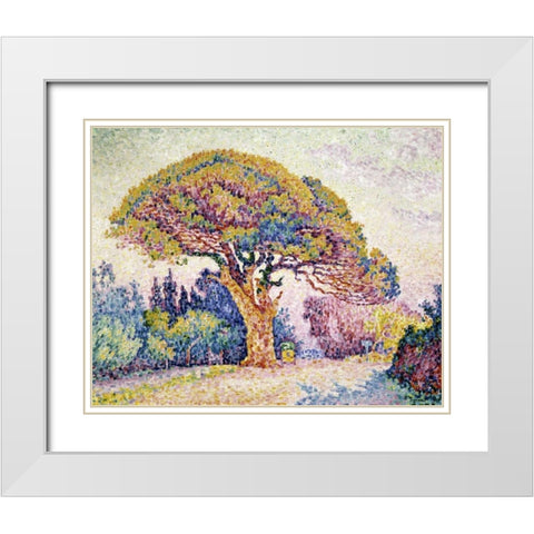 Pine Tree In St. Tropez White Modern Wood Framed Art Print with Double Matting by Signac, Paul
