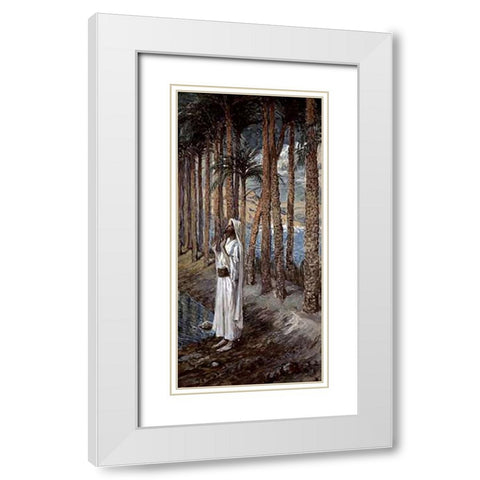 Palm Tree White Modern Wood Framed Art Print with Double Matting by Tissot, James