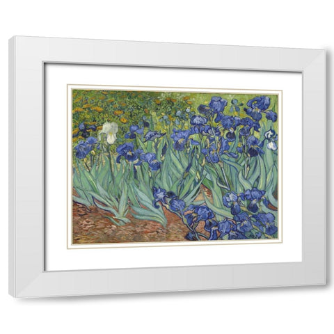 Irises, 1889 White Modern Wood Framed Art Print with Double Matting by Van Gogh, Vincent