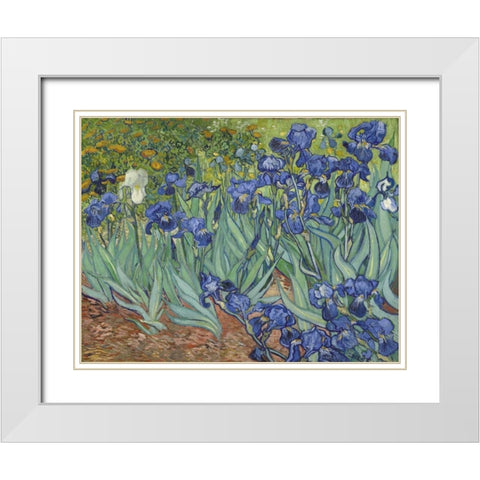 Irises, 1889 White Modern Wood Framed Art Print with Double Matting by Van Gogh, Vincent