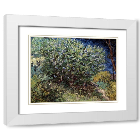 Lilacs White Modern Wood Framed Art Print with Double Matting by Van Gogh, Vincent