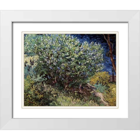 Lilacs White Modern Wood Framed Art Print with Double Matting by Van Gogh, Vincent
