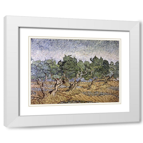 Olive Orchard, Violet Soil White Modern Wood Framed Art Print with Double Matting by Van Gogh, Vincent