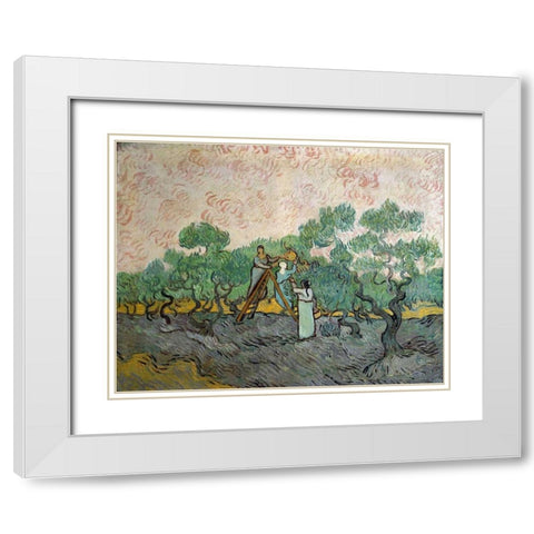 Women Picking Olives White Modern Wood Framed Art Print with Double Matting by Van Gogh, Vincent
