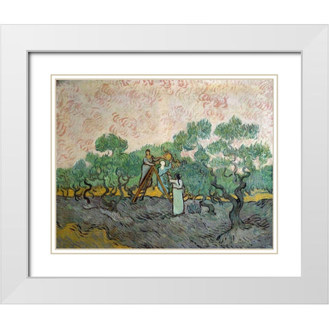 Women Picking Olives White Modern Wood Framed Art Print with Double Matting by Van Gogh, Vincent