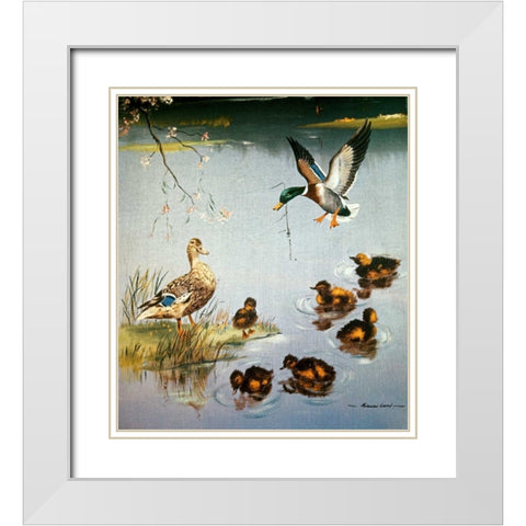 Mallards White Modern Wood Framed Art Print with Double Matting by Ward, Edward Matthew