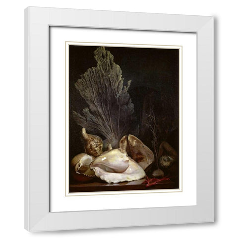 Coquillages et Madreposes White Modern Wood Framed Art Print with Double Matting by Berjon, Antoine