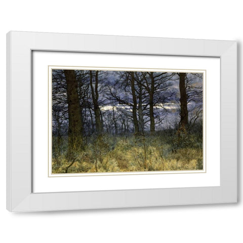 The Woods at Dusk White Modern Wood Framed Art Print with Double Matting by Garden, William Fraser