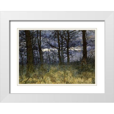 The Woods at Dusk White Modern Wood Framed Art Print with Double Matting by Garden, William Fraser