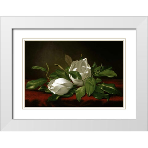 Magnolia White Modern Wood Framed Art Print with Double Matting by Heade, Martin Johnson