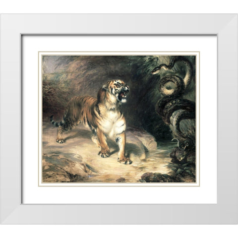 Tiger Confronting a Snake by a Stream White Modern Wood Framed Art Print with Double Matting by Huggins, William