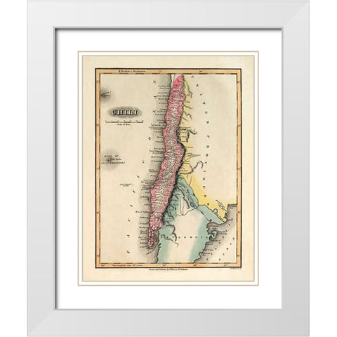 Chili, 1823 White Modern Wood Framed Art Print with Double Matting by Lucas, Fielding