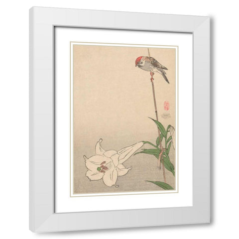 Small bird on lily plant., 1893 White Modern Wood Framed Art Print with Double Matting by Baison