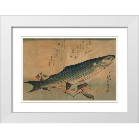 Striped mullet, 1834 White Modern Wood Framed Art Print with Double Matting by Hiroshige, Ando