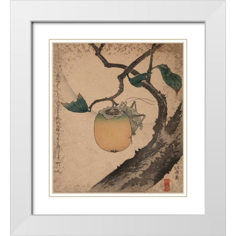 Grasshopper eating persimmon, 1850 White Modern Wood Framed Art Print with Double Matting by Hokusai