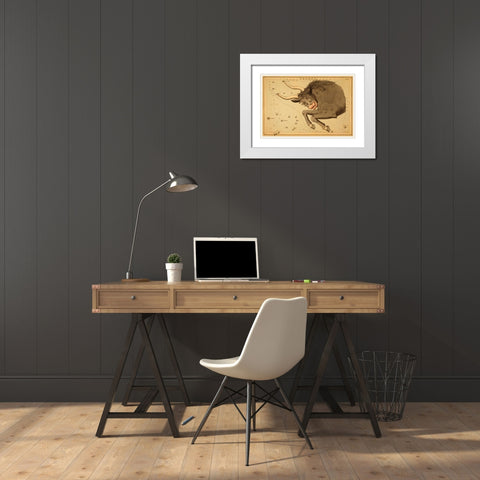 Taurus the Bull, 1825 White Modern Wood Framed Art Print with Double Matting by Aspin, Jehoshaphat