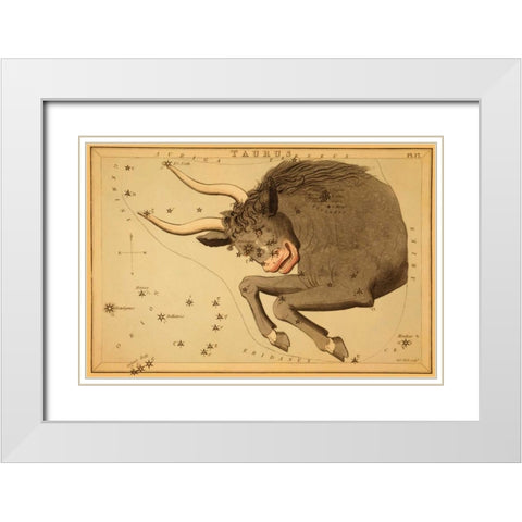 Taurus the Bull, 1825 White Modern Wood Framed Art Print with Double Matting by Aspin, Jehoshaphat