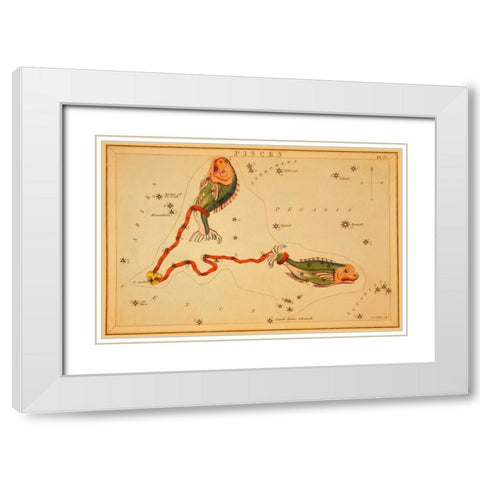 Pisces, 1825 White Modern Wood Framed Art Print with Double Matting by Aspin, Jehoshaphat
