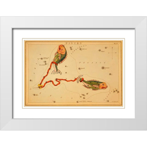 Pisces, 1825 White Modern Wood Framed Art Print with Double Matting by Aspin, Jehoshaphat