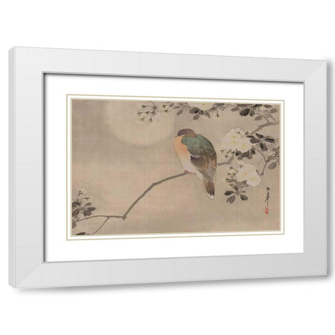 Robin sitting on a Tree Branch White Modern Wood Framed Art Print with Double Matting by Unknown
