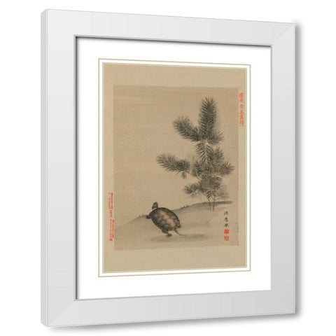 Turtle White Modern Wood Framed Art Print with Double Matting by Unknown