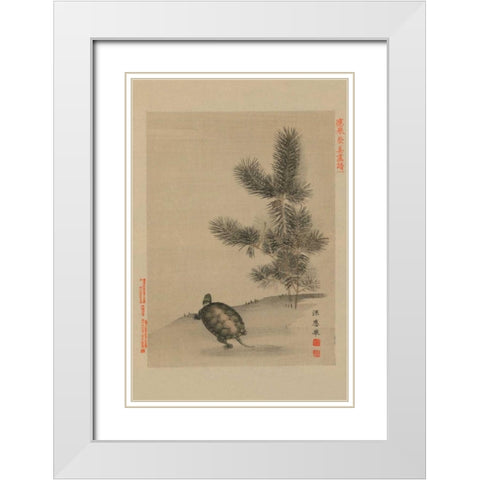 Turtle White Modern Wood Framed Art Print with Double Matting by Unknown