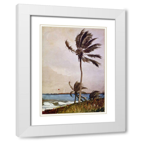 Palm Tree Nassau White Modern Wood Framed Art Print with Double Matting by Homer, Winslow