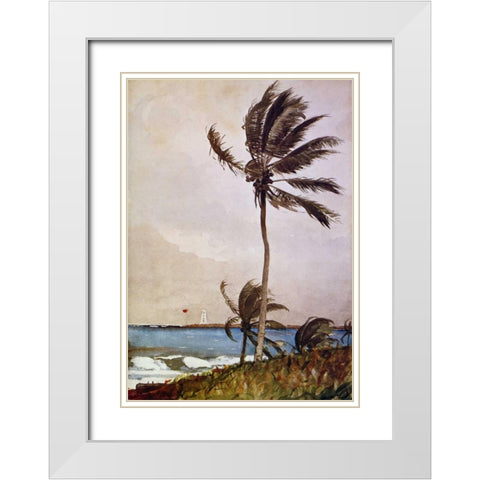 Palm Tree Nassau White Modern Wood Framed Art Print with Double Matting by Homer, Winslow